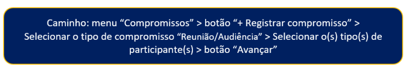 Arquivo:Passo a passo reuniao audiencia.png